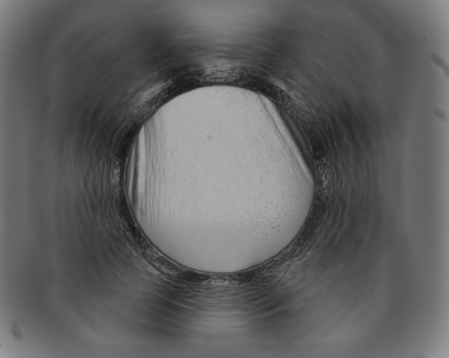 X0000090950745200708301139
