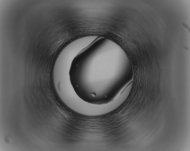 X0000090950746200708301139