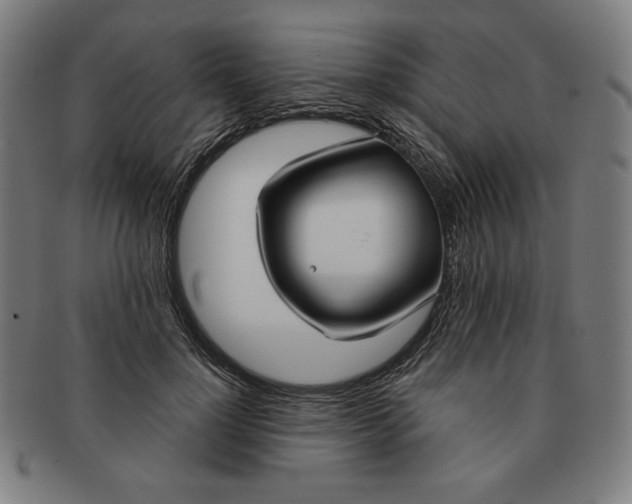 X0000090950748200708301139