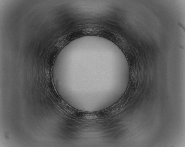 X0000090950749200708301139