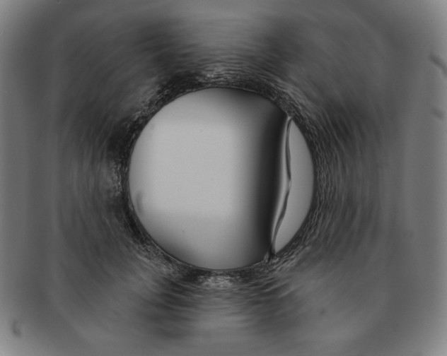 X0000090950751200708301139