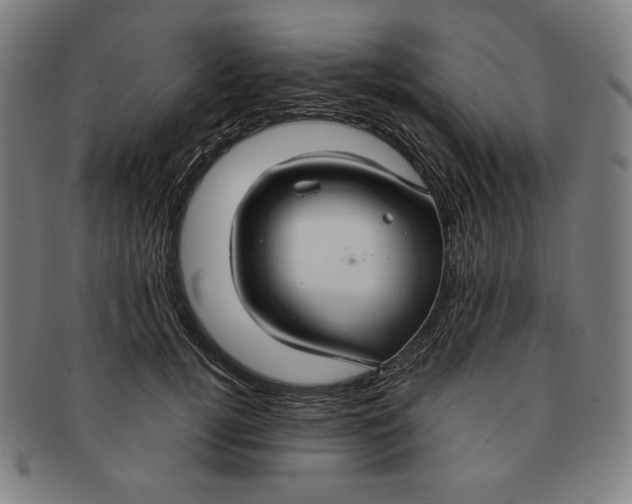 X0000090950752200708301139