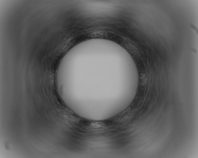 X0000090950753200708301139