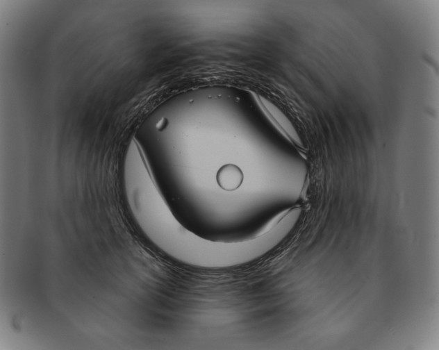 X0000090950754200708301139