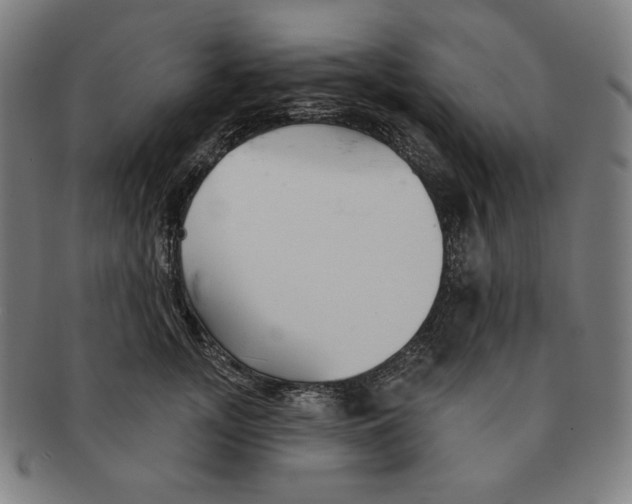 X0000090950755200708301139