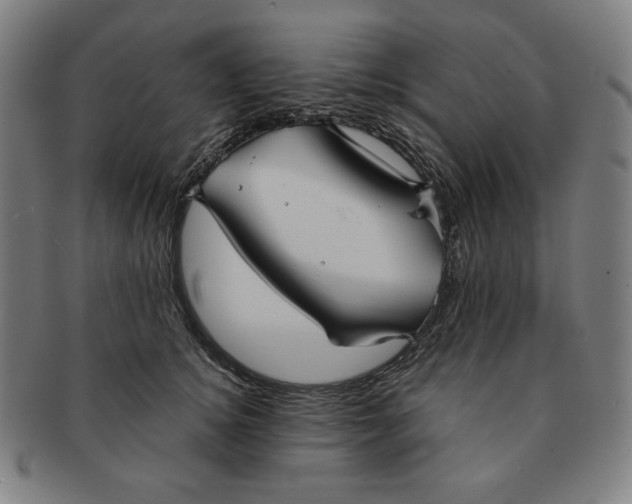 X0000090950756200708301139