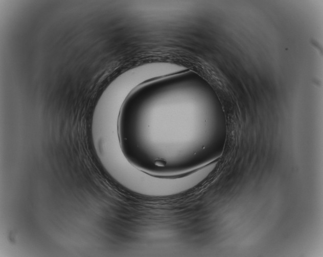 X0000090950758200708301139