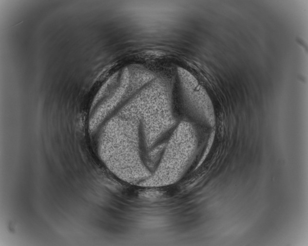 X0000090950759200708301139