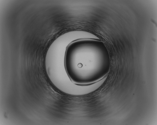 X0000090950760200708301139