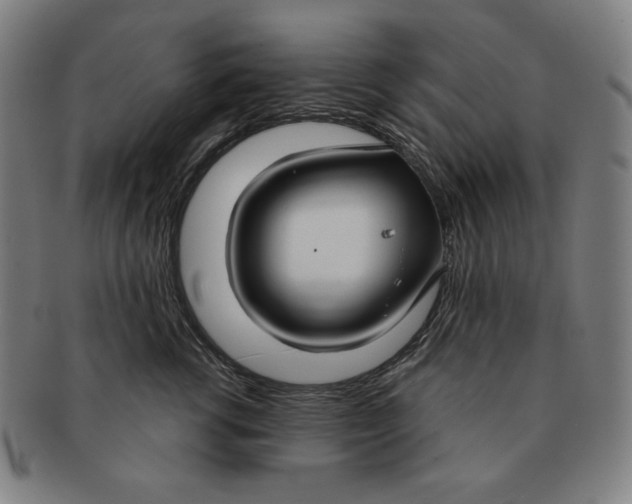 X0000090950762200708301139