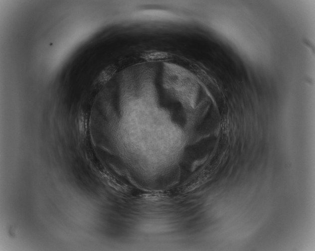 X0000090950763200708301139