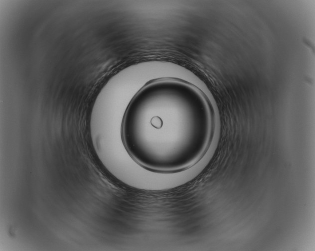X0000090950764200708301139