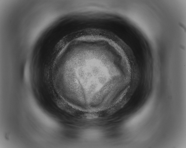 X0000090950765200708301139