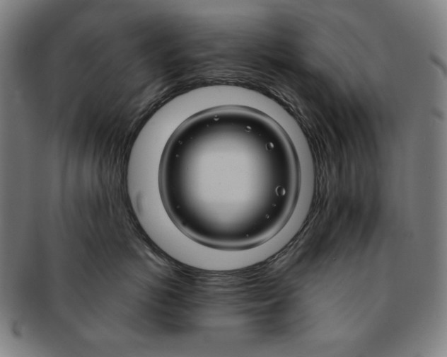 X0000090950766200708301139