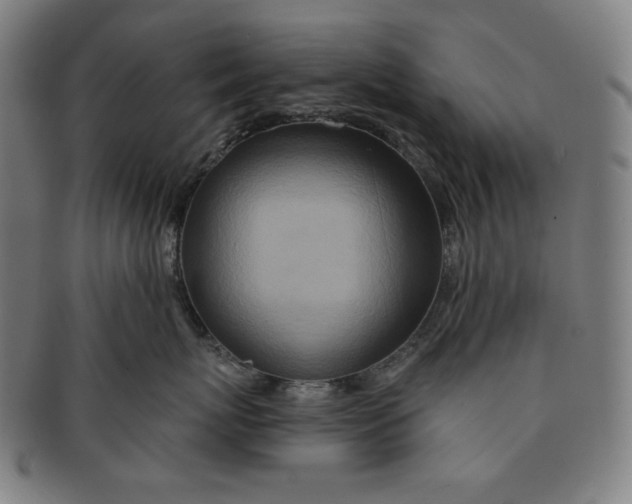 X0000090950767200708301140