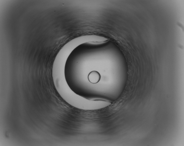 X0000090950768200708301140