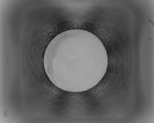 X0000090950769200708301139