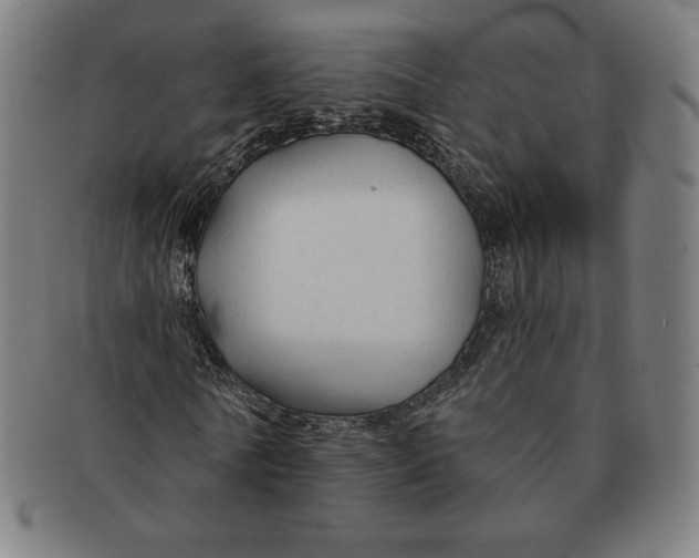 X0000090950770200708301139