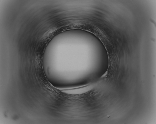 X0000090950773200708301139