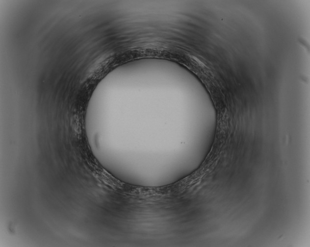 X0000090950774200708301139