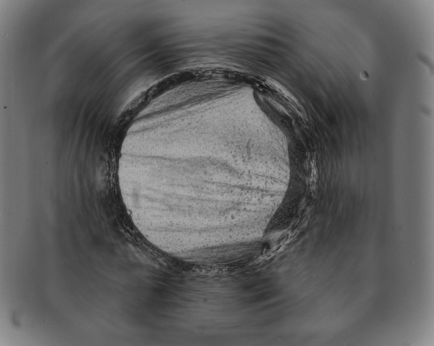 X0000090950775200708301139