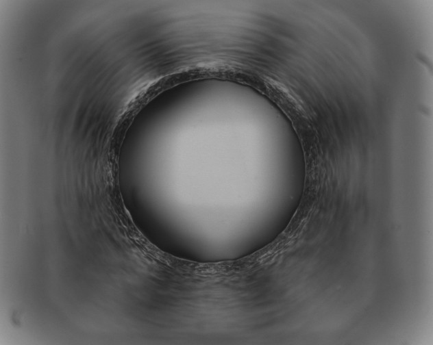 X0000090950776200708301139
