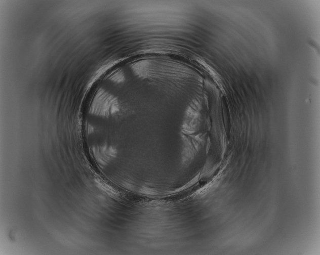 X0000090950779200708301139