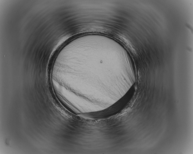 X0000090950780200708301139