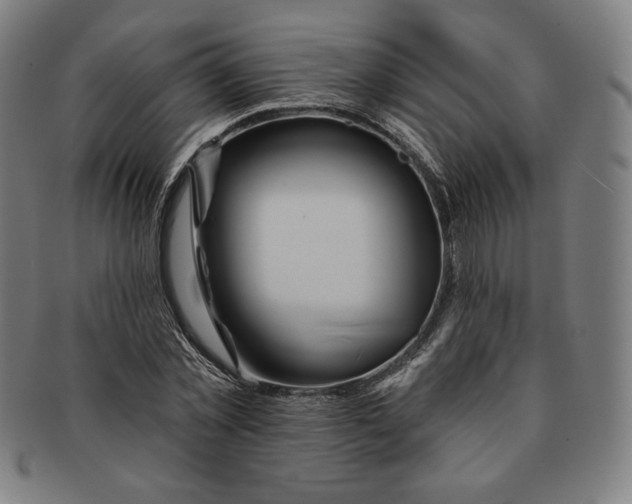 X0000090950781200708301139