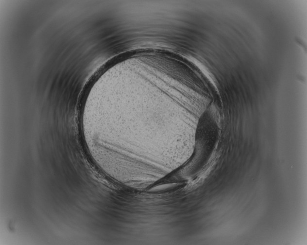 X0000090950783200708301139