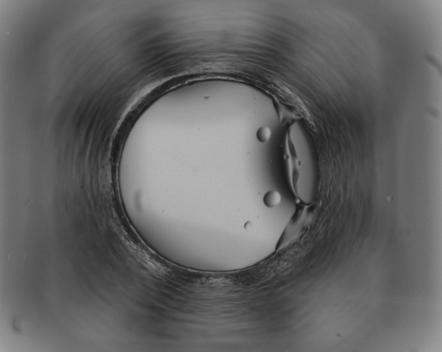 X0000090950784200708301138