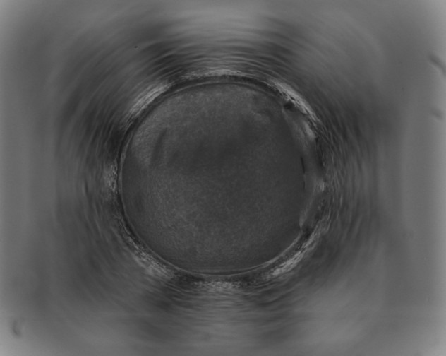 X0000090950785200708301138