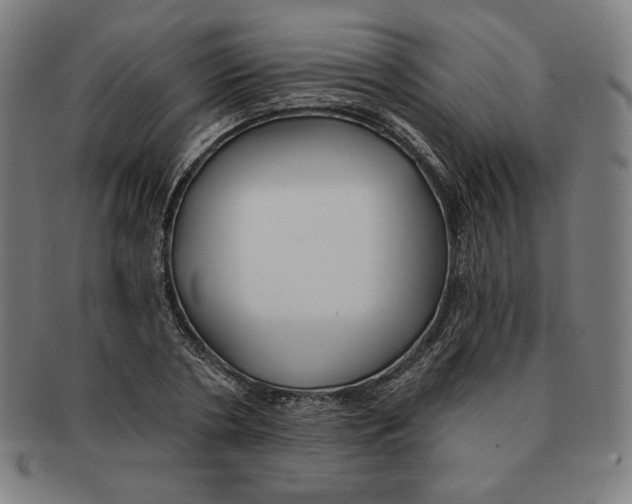 X0000090950786200708301138