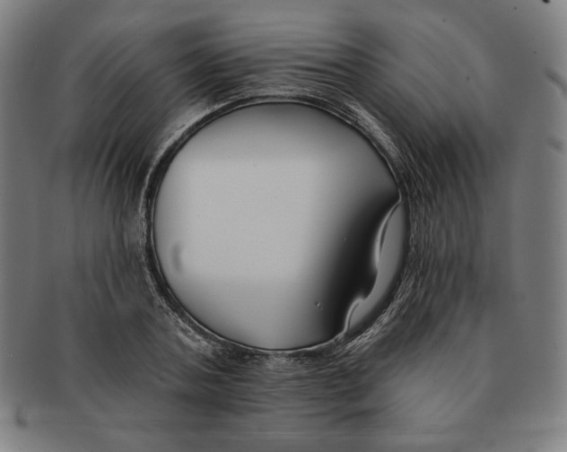 X0000090950787200708301138