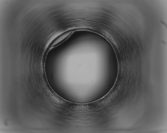 X0000090950789200708301138