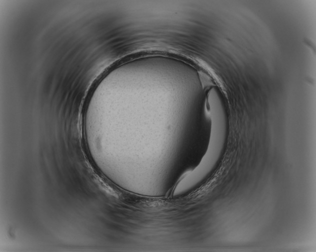 X0000090950791200708301138