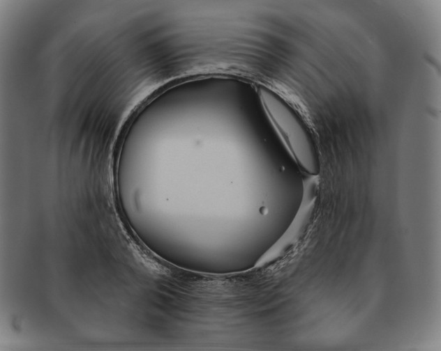 X0000090950792200708301138