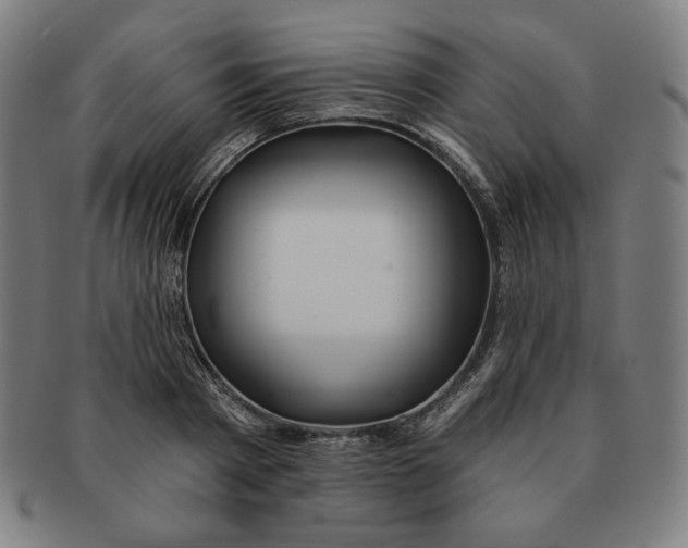 X0000090950793200708301138