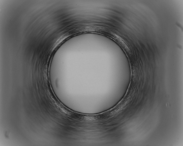 X0000090950794200708301138