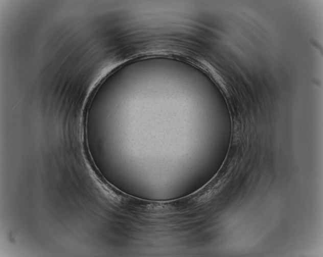 X0000090950795200708301138