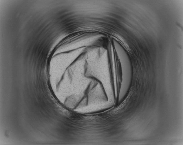 X0000090950796200708301138