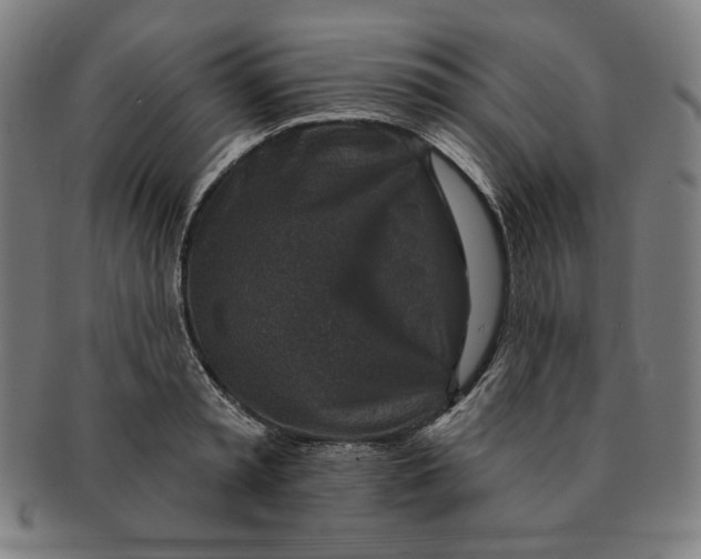 X0000090950797200708301138