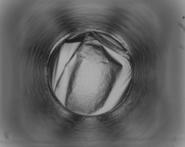 X0000090950798200708301138