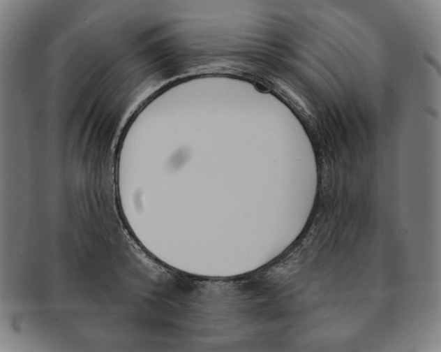 X0000090950800200708301138