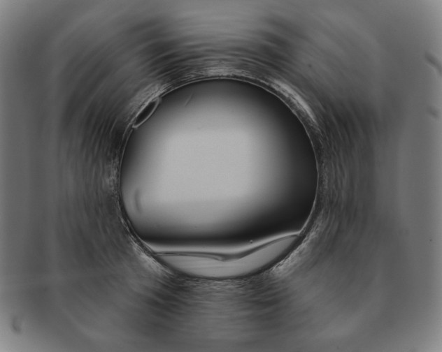 X0000090950801200708301138