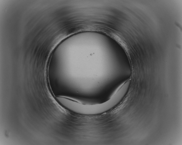 X0000090950803200708301138