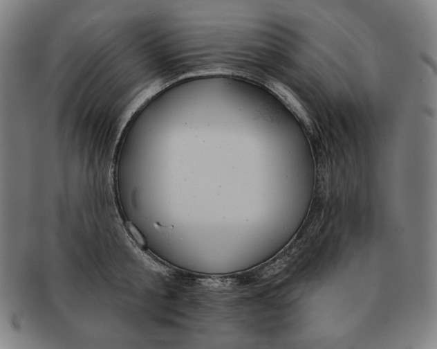 X0000090950805200708301138