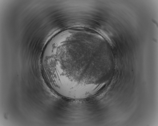 X0000090950806200708301138