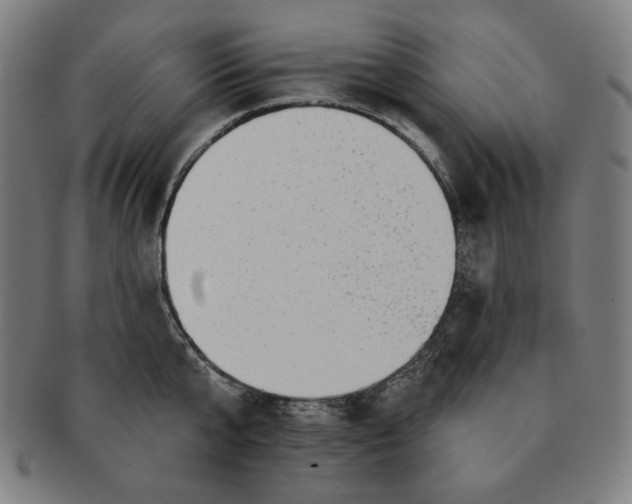 X0000090950807200708301138