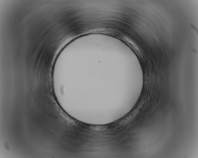X0000090950808200708301138